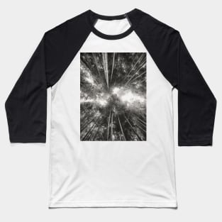 Bamboo Forest (black and white) Baseball T-Shirt